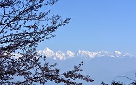 Misty Mountains Jhaltola